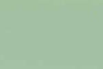 Dark Seagreen Matt
