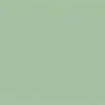 Dark Seagreen Matt