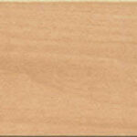 Basswood Beech